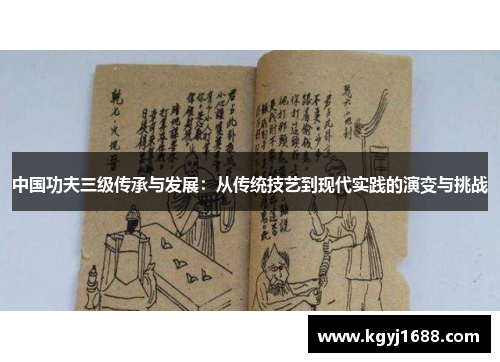中国功夫三级传承与发展：从传统技艺到现代实践的演变与挑战
