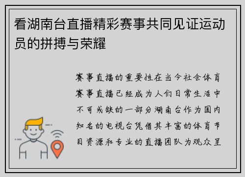 看湖南台直播精彩赛事共同见证运动员的拼搏与荣耀