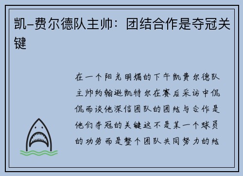 凯-费尔德队主帅：团结合作是夺冠关键
